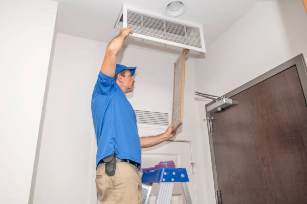 Best Local Air Duct Cleaning Services  in USA